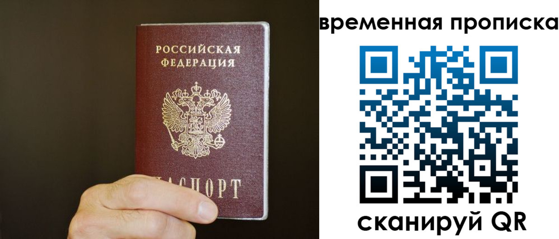 регистрация для школы в Снежногорске